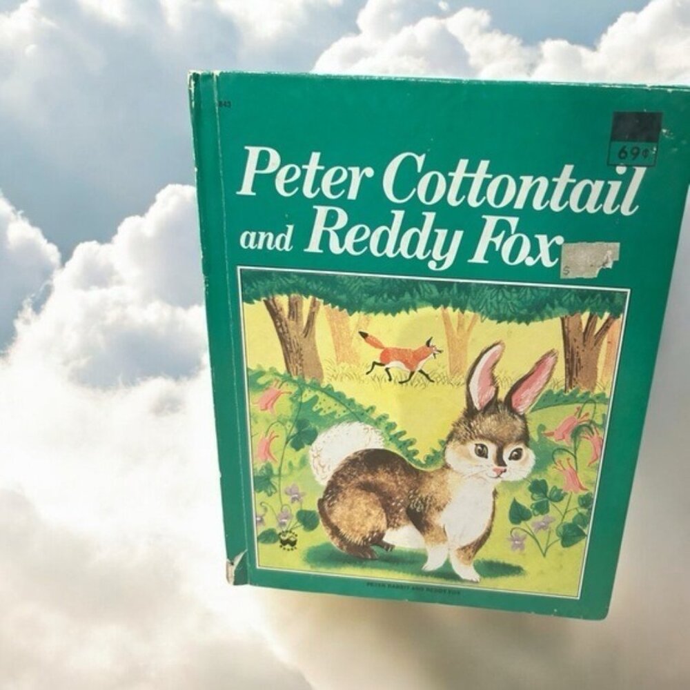 Vintage Peter Cottontail and Reddy Fox storybook, stitching, 1954, USA